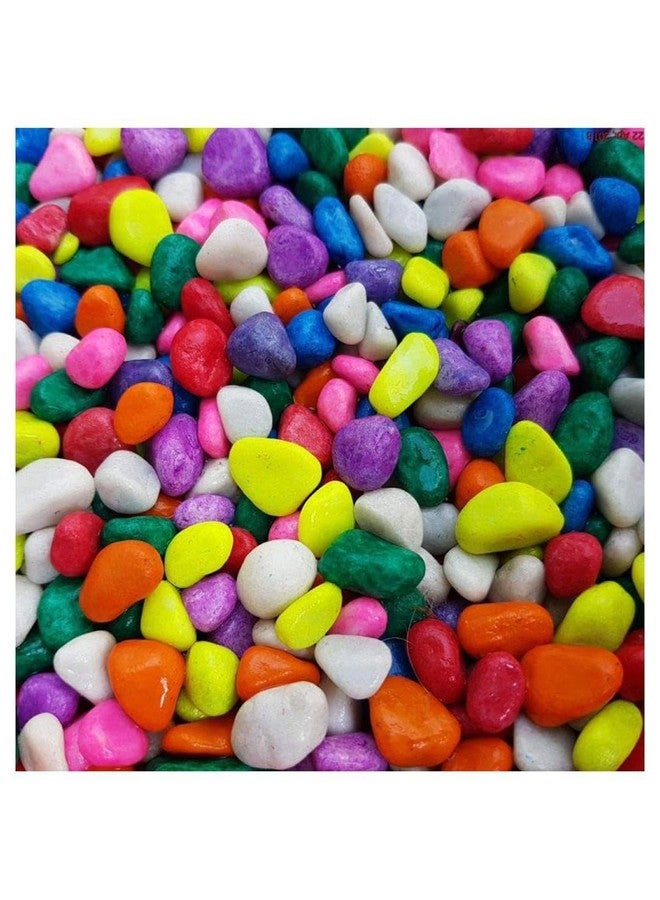 Afast Multicolor Pabbles/Stone for Garden, Plants, Aquarium & Home Decor, Marvels, Decoration, Fish Aquarium, Vase Filler, 0.5 KG -AAU1 - Image 1
